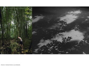 猛虎集 文藝創(chuàng)作片與動(dòng)漫游戲的融合之路